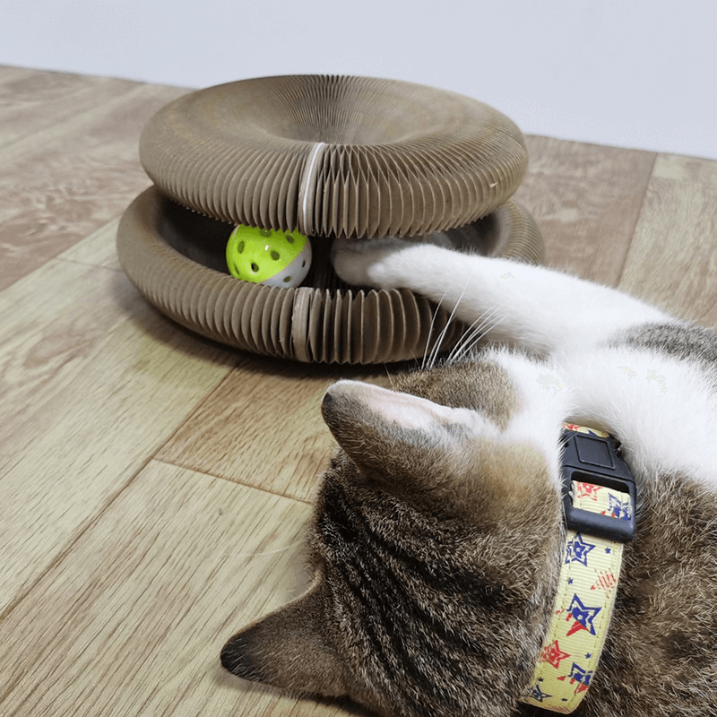 Cat Scratchboard Toy (ball included)