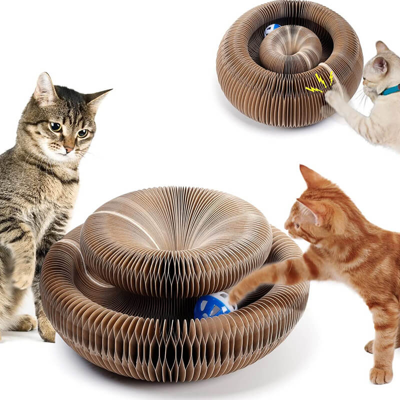 Cat Scratchboard Toy (ball included)