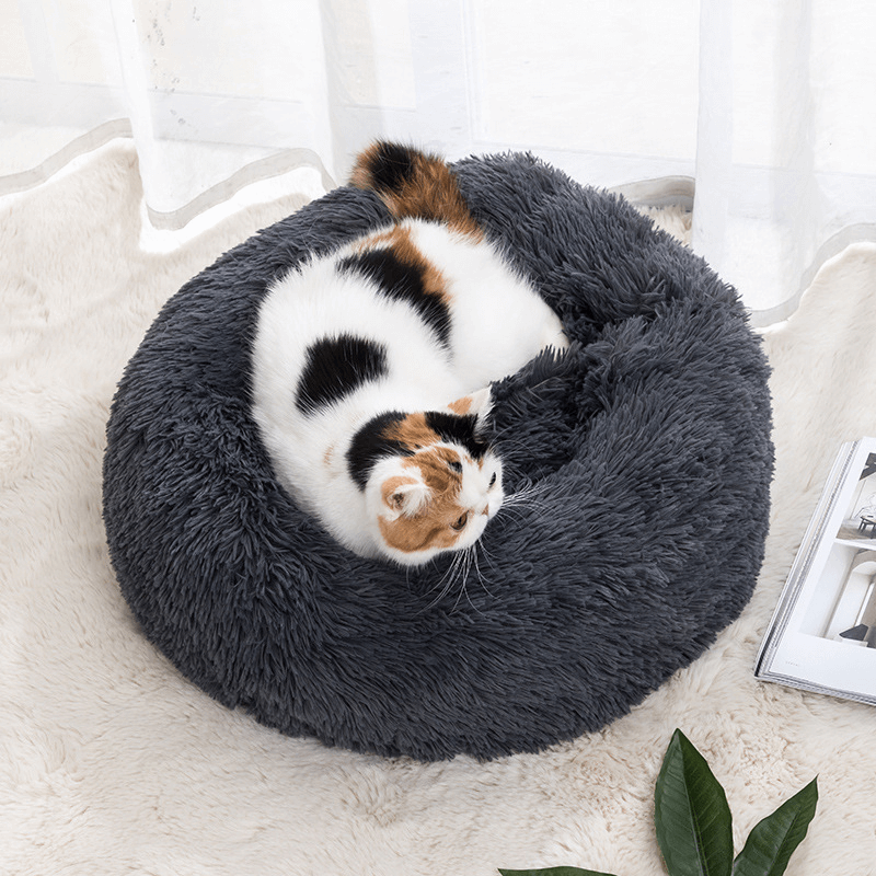 Fluffy and cozy bed | Cat & Dog