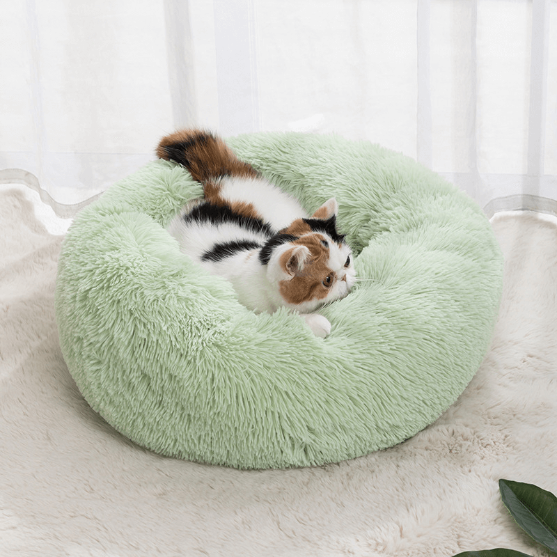 Fluffy and cozy bed | Cat & Dog